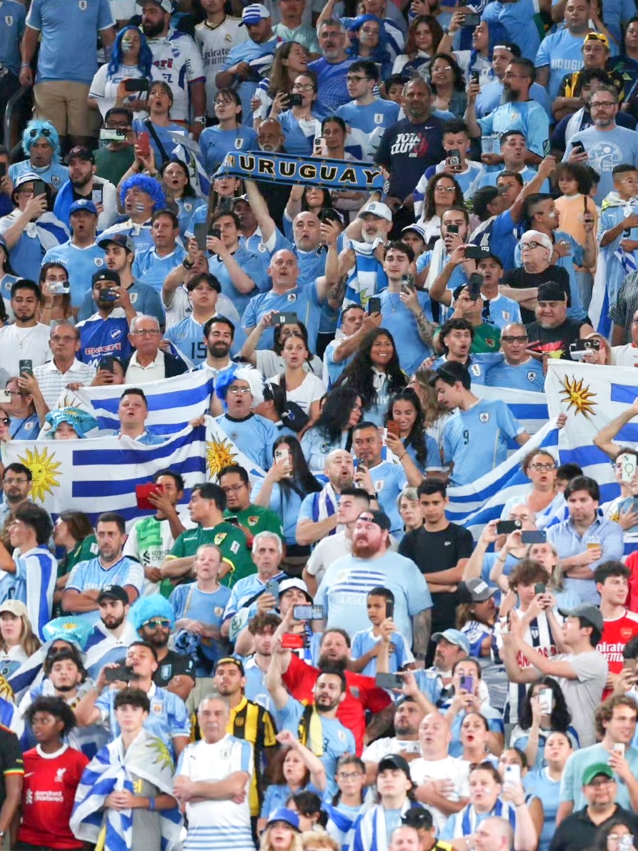 巴拉圭国家队争夺南美冠军，士气昂扬的简单介绍