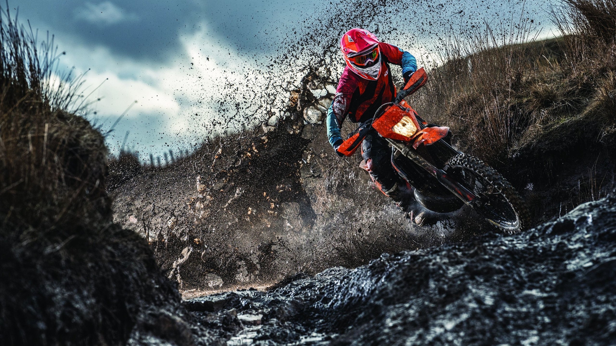 DB电竞直播平台入口-塔图姆闪耀全场，掘金铁血防守压制篮网